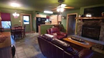 TV, fireplace, DVD player, books