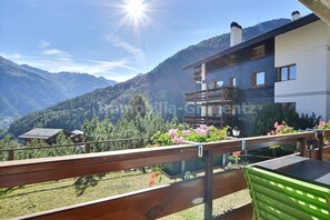Property grounds - Very comfortable flat for 5 people, living room with fireplace, kitchen area with dishwasher, 1 2-be (Grimentz)