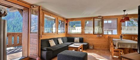 Télévision, cheminée, lecteur de DVD