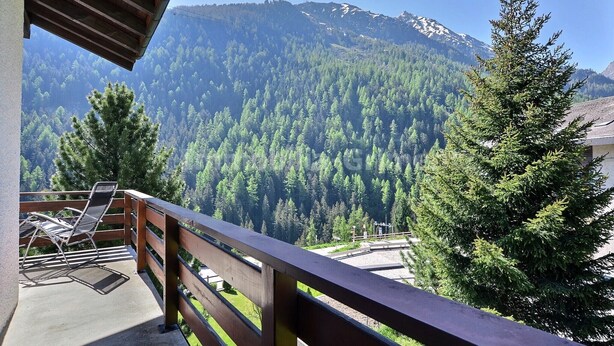 Unclassified image, 1 of 12, button - Middle class flat on 2 levels for 6 people, living room, kitchen area with dishwasher, 1 double bedr (Grimentz)