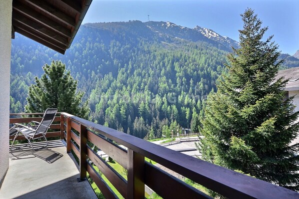 Property grounds - Middle class flat on 2 levels for 6 people, living room, kitchen area with dishwasher, 1 double bedr (Grimentz)