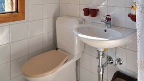 A bathroom with a toilet, sink, and shower curtain. - Comfortable chalet on 2 levels for 7 to 8 people, living room, kitchen area with dishwasher, 1 doubl (Grimentz)