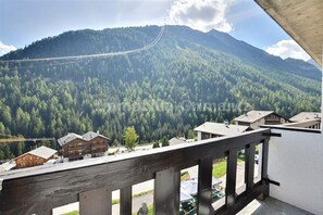 Property grounds - Comfortable flat for 2 to 4 people, living room with 2 beds, kitchen area with dishwasher, 1 2-bedro (Grimentz)