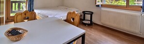 1 Schlafzimmer, Bügeleisen/Bügelbrett, WLAN