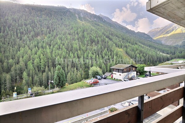 Property grounds - Comfortable flat for 4 to 6 people, living room with 2 beds, kitchen area with dishwasher, 1 2-bedro (Grimentz)