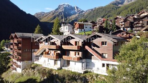 Exterior - Comfortable flat for 2 to 4 people, living room with 1 double divan bed, kitchen area with dishwashe (Grimentz)