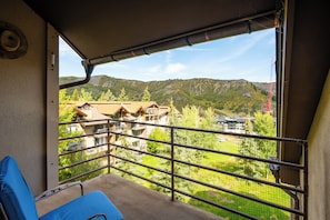 Deluxe Condo, 2 Bedrooms, Fireplace, Mountain View (Chamonix 47) | Mountain view