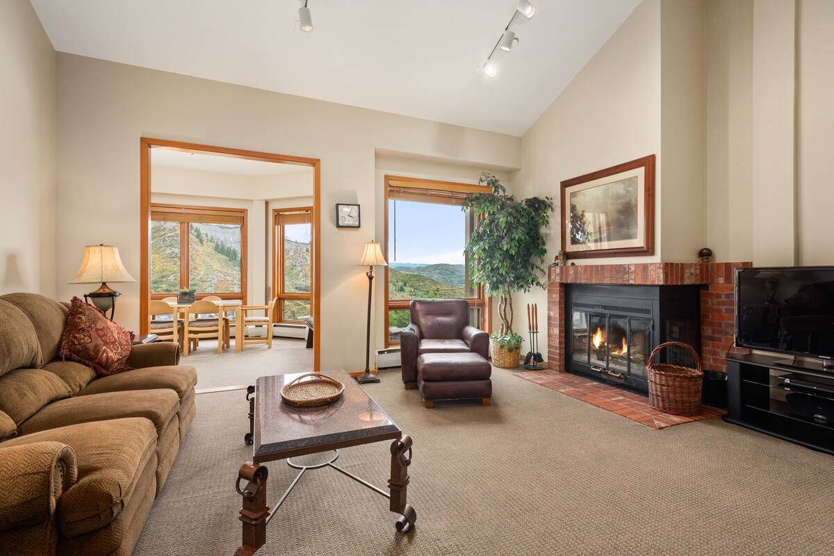 Economy Condo, 2 Bedrooms, Fireplace, Mountain View (Chamonix 37) | Living area | Flat-screen TV