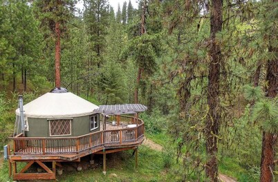 Wildedge Ranch Yurt