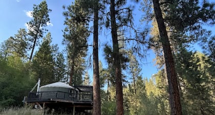 Secluded Off Grid Mountain Yurt with Power and Starlink