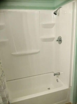 Hair dryer, towels, soap, shampoo - Perfect house location for Gainesville, Fl (Gainesville)
