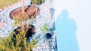 A residential driveway with a stone pathway, small shrubs, and a tree. - AviAana 1 Bedroom Basement Suite (Edmonton)