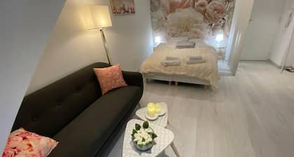 Esprit Romantique ........ au coeur de Mulhouse