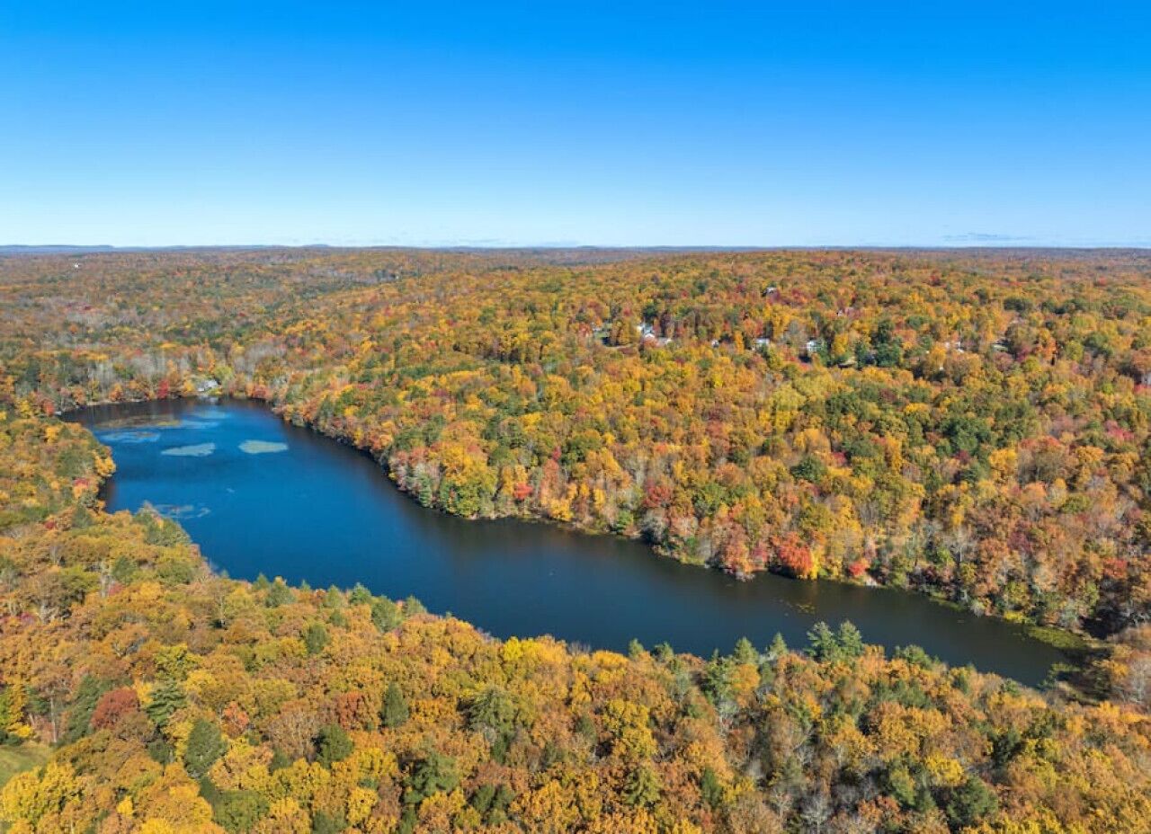 An aerial view of a river winding through a densely forested area with autumn foliage.