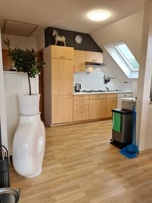 Fridge, microwave, stovetop, dishwasher