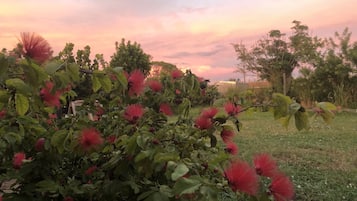 Overnatningsstedets område