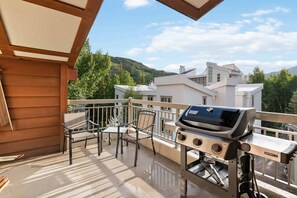 Property grounds - Lodge at Lionshead 403 (Vail)