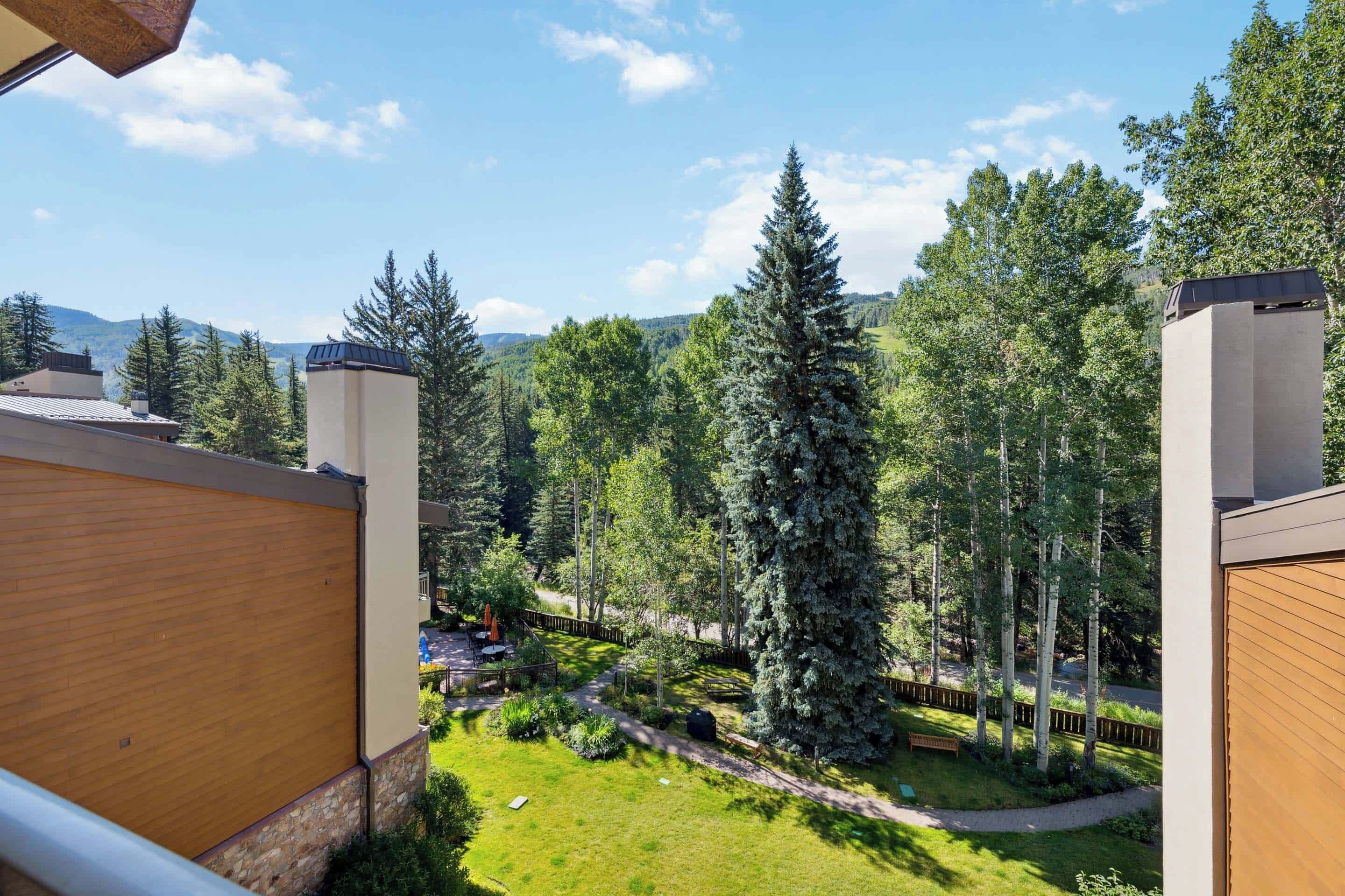 A view of a residential area with a well-maintained lawn, tall evergreen trees, and a clear sky.