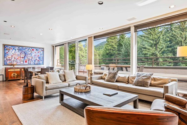 TV - Lodge at Lionshead 11 (Vail)