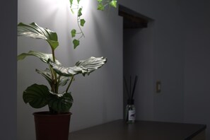 Interior - 1 bedroom apartment in naples (Napoli)