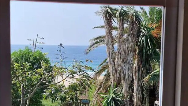 A garden path leading to a beach with palm trees and a wooden fence. - Casa Tarif - Bolonia Beach Campus, your beach house in Bolonia - Tarifa (Tarifa)