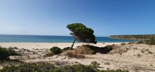 Bungalow - Bolonia Beach Campus Bolonia, your beach house