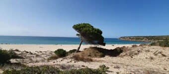 Bungalow - Bolonia Beach Campus Bolonia, your beach house