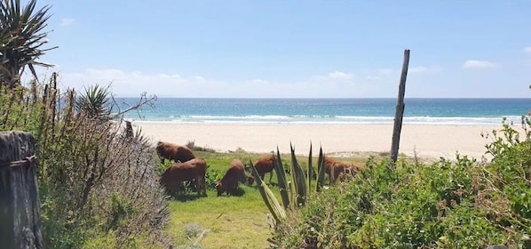 Am Strand