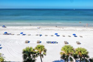 A beach with rows of beach umbrellas and lounge chairs, palm trees, and a clear view of the ocean.