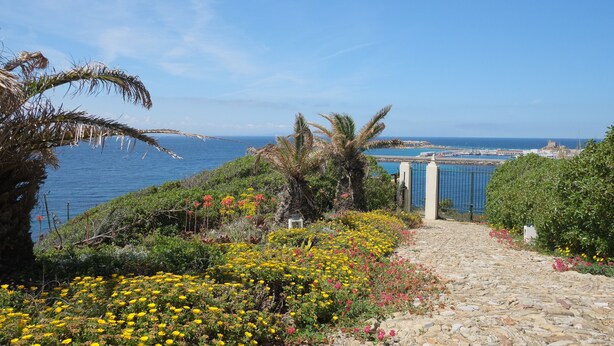 A coastal pathway with a view of the sea and a distant cityscape.