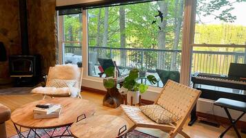 TV connectée, cheminée, livres