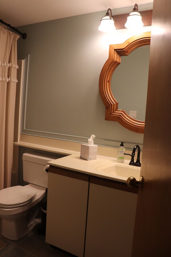 A bathroom with a toilet, sink, and mirror. - Trailside Ski In and Out Townhome (West Dover)