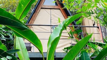 Free minibar items, bed sheets