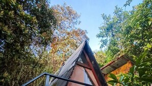Une petite structure à toit triangulaire, dotée d’une terrasse en bois et d’une rambarde en métal, entourée d’une végétation luxuriante.
