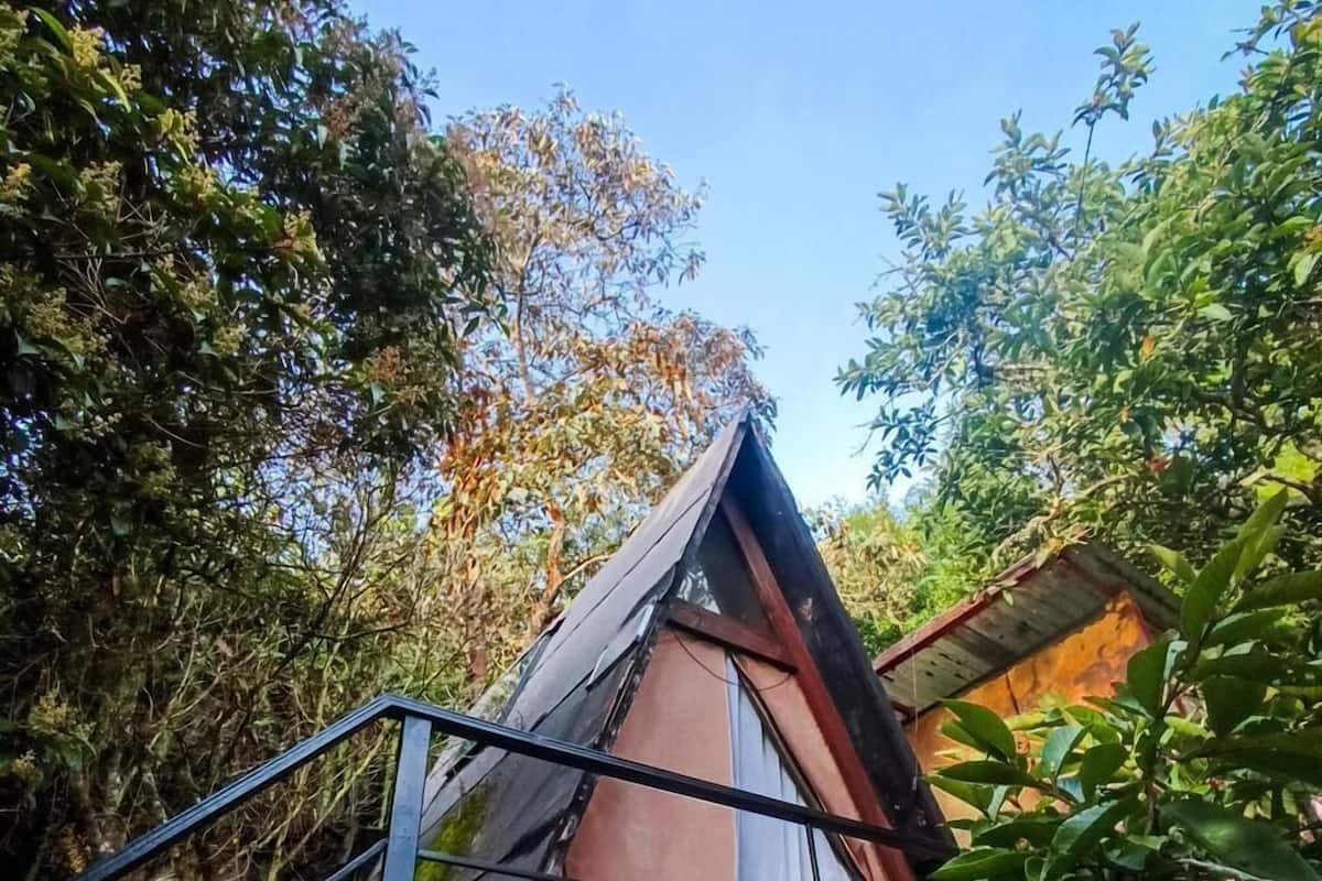 Een kleine constructie met een puntig dak, een houten terras en een metalen hek, omringd door weelderige beplanting.