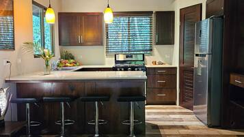 Fridge, oven, stovetop, coffee/tea maker