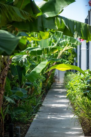 Property grounds - Villa Nouah - Private Pool + Sauna (Saint-François)