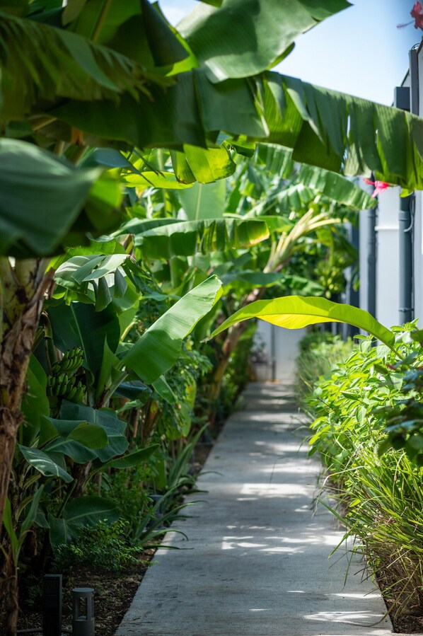 Área da propriedade