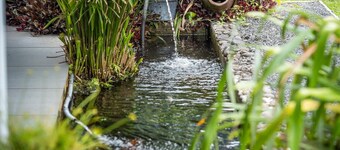 Villa The Blue Giraffe, Near the Soufrière Volcano