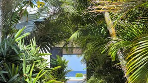 A pathway leading to a beach with palm trees and a building in the background.