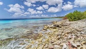 A rocky shoreline with clear turquoise water and a distant view of land.