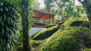 Une cabane en bois dotée d’un balcon, entourée d’une végétation luxuriante et de rochers couverts de mousse.