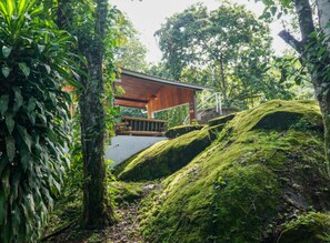 Property grounds - Private Luxury Mountain Villa (Quabradas)