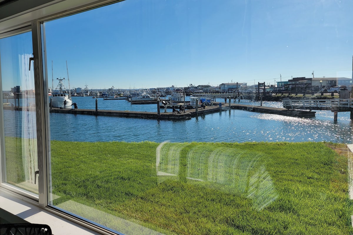 A marina with boats docked, a grassy area in the foreground, and buildings in the background.