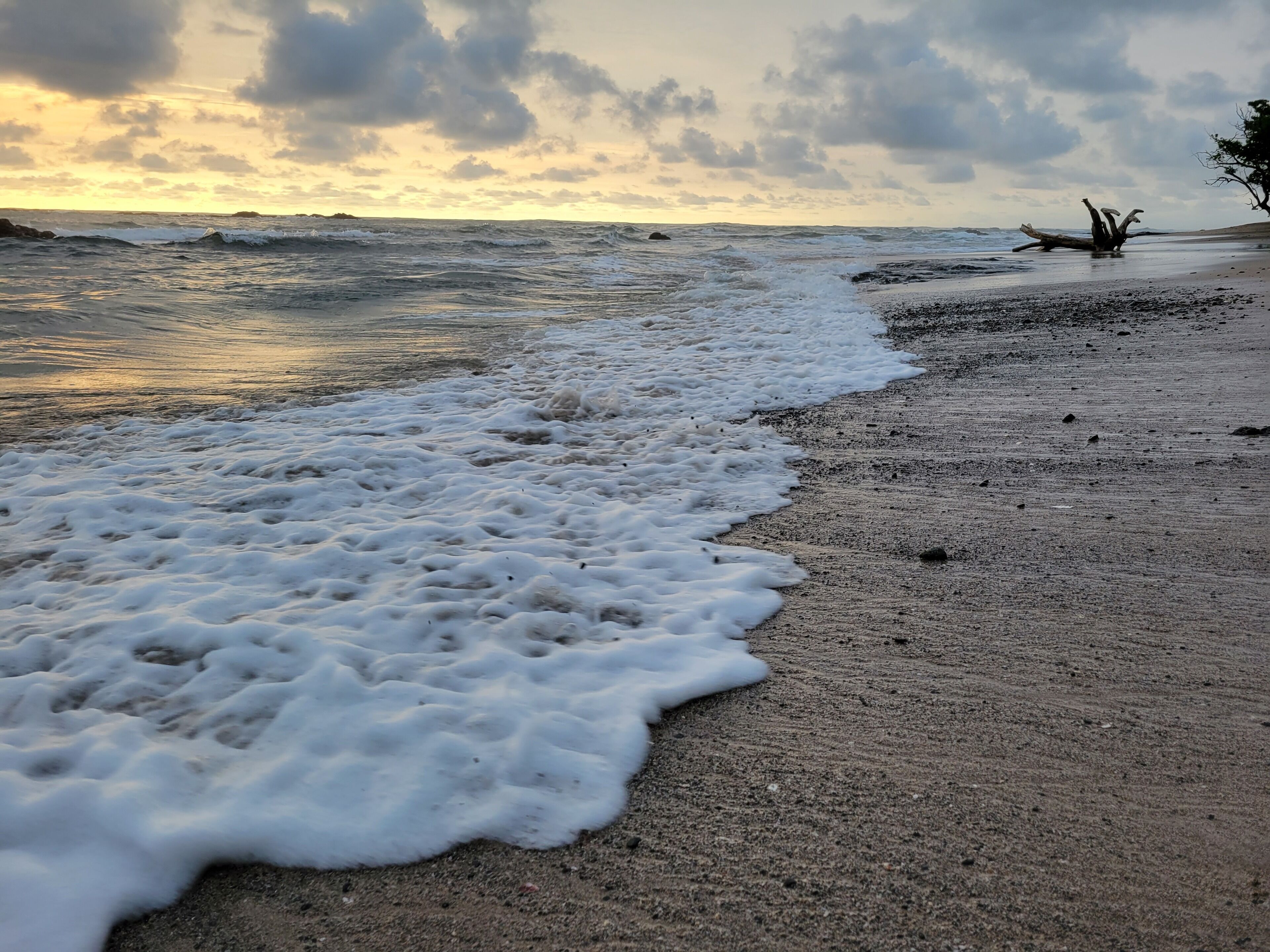 Plage, chaises longues, serviettes de plage