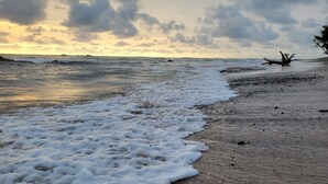 En strand med bølger, der slår mod kysten, og et træ i baggrunden.