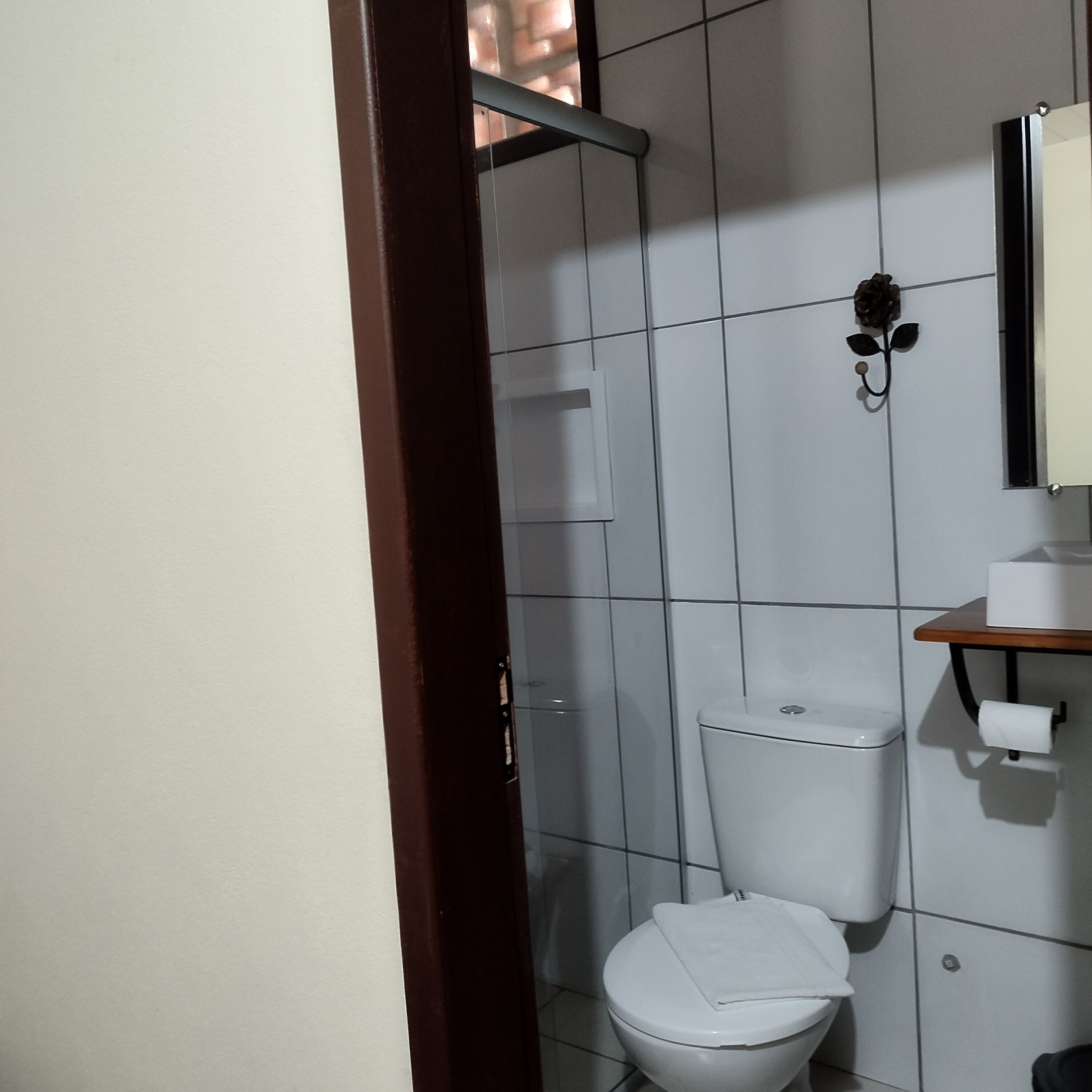 Shower, towels, toilet paper