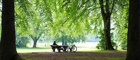 Jardines del alojamiento