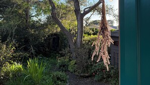 A garden with a tree, a hanging light fixture, and a dog. - Quintessential Carmel Writer's Hideaway with Private Garden and Patio. (Carmel-by-the-Sea)