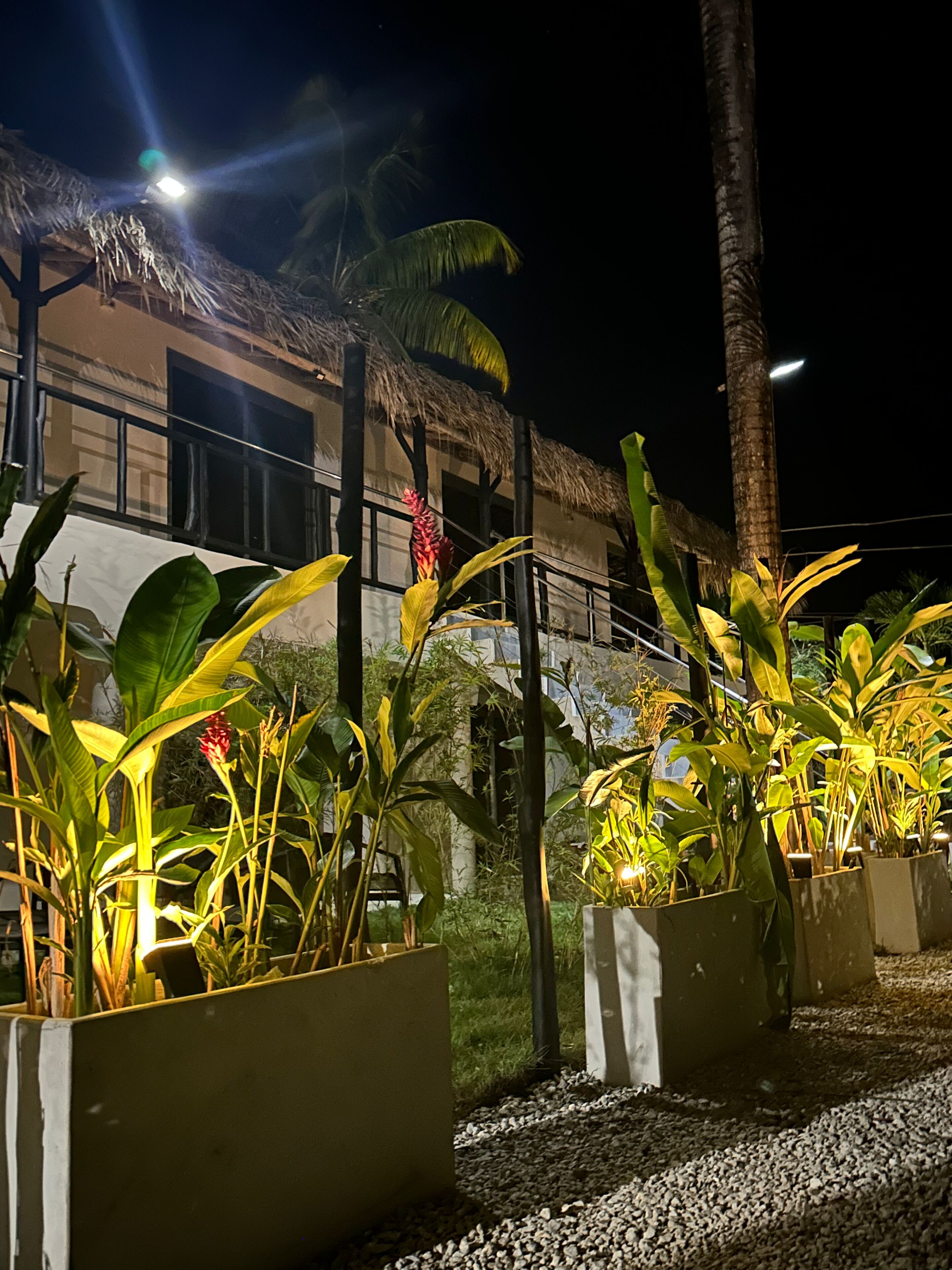 Vista nocturna de un edificio con techo de paja y un jardín bien iluminado con plantas en macetas y una palmera.